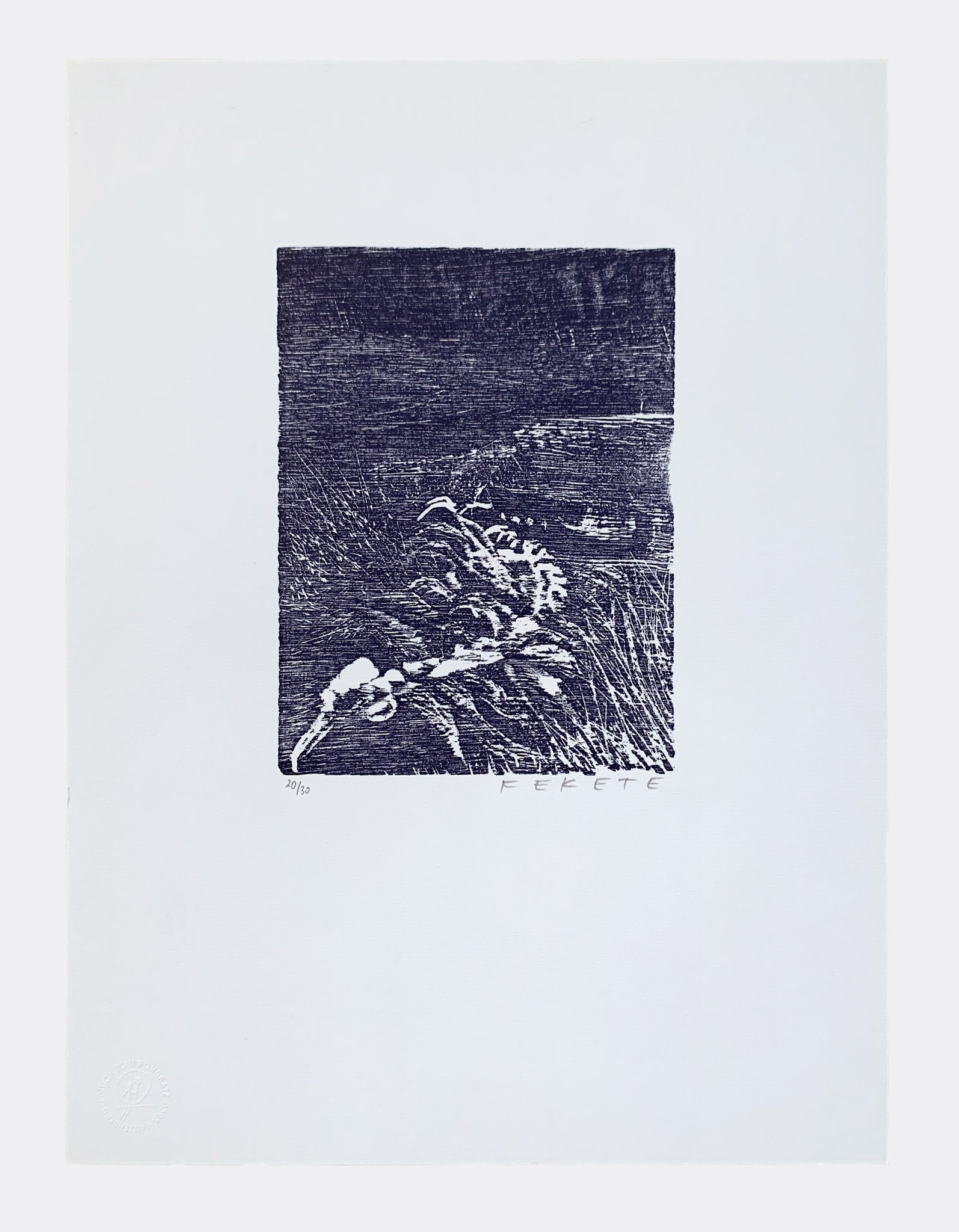 ESTEBAN FEKETE | Untitled