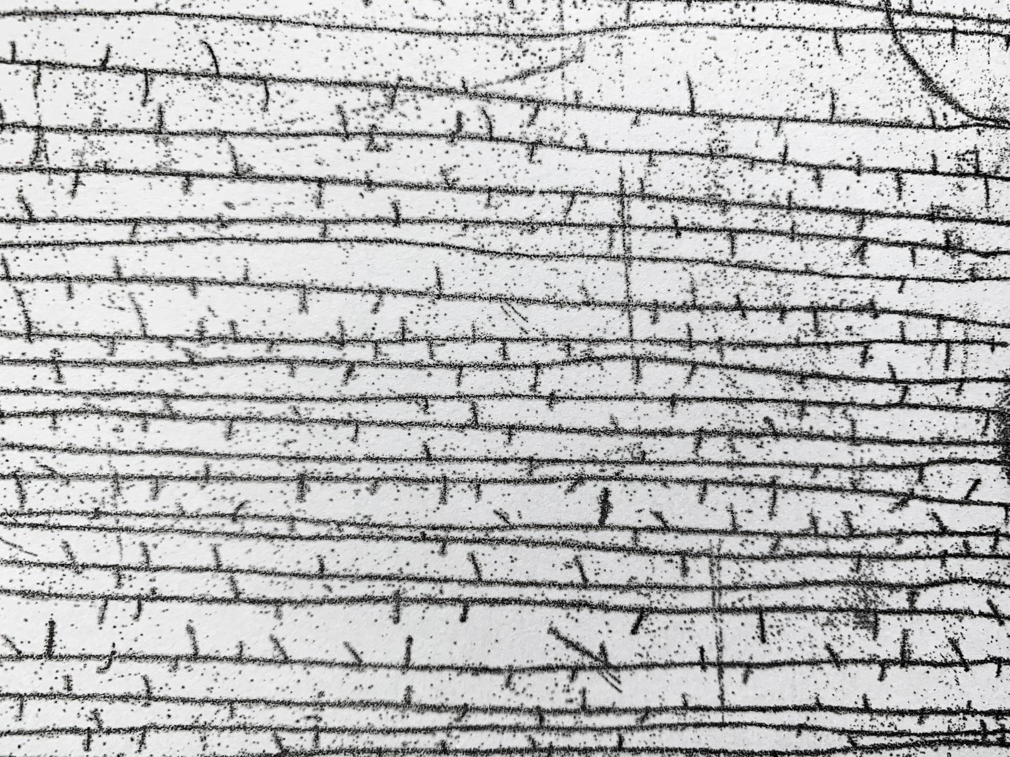 HANNS SCHIMANSKY | Untitled (3)