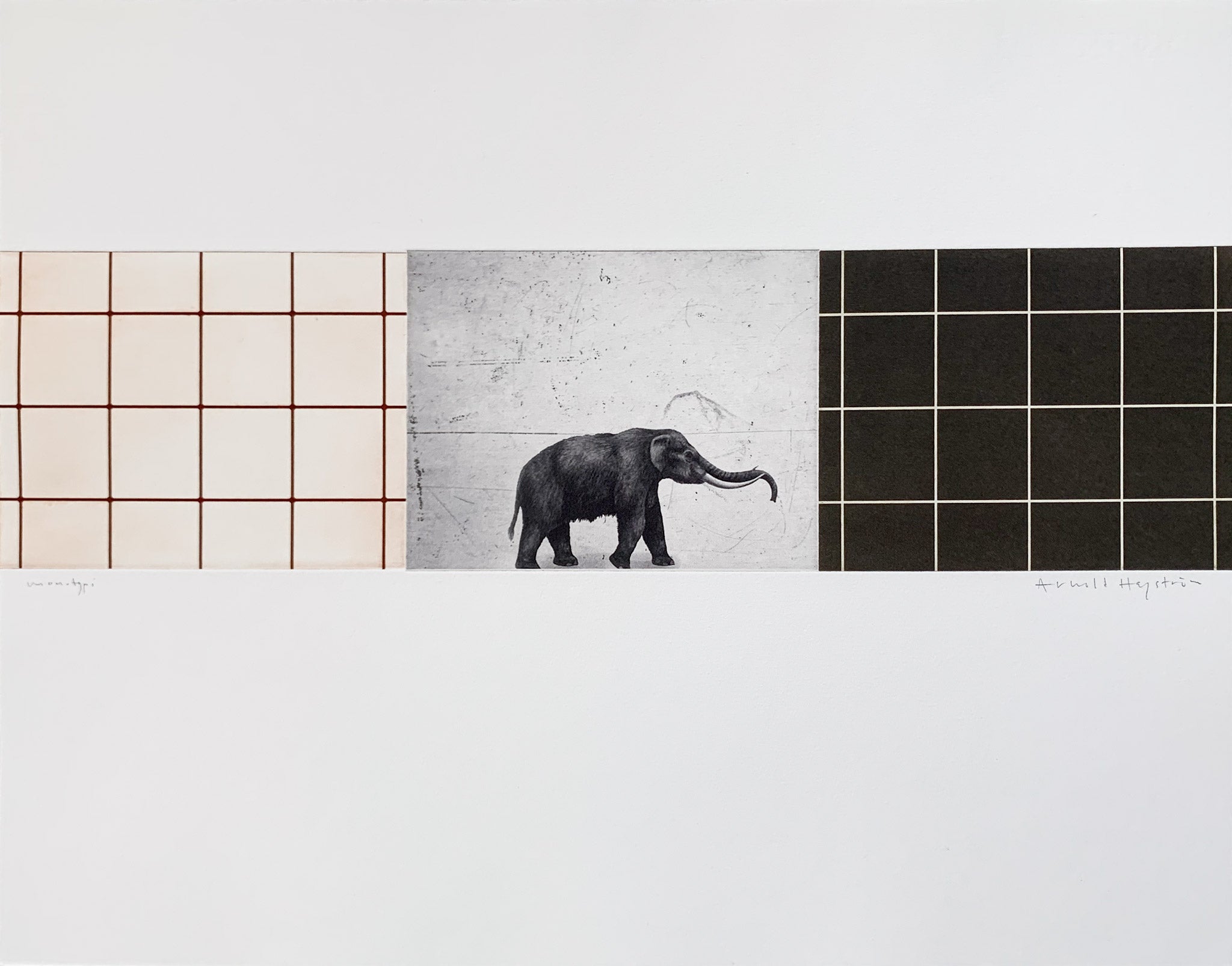 ARNOLD HAGSTRÖM | Elephant