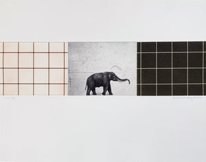 ARNOLD HAGSTRÖM | Elephant