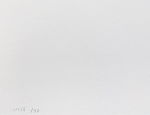 ARNOLD HAGSTRÖM | Elephant