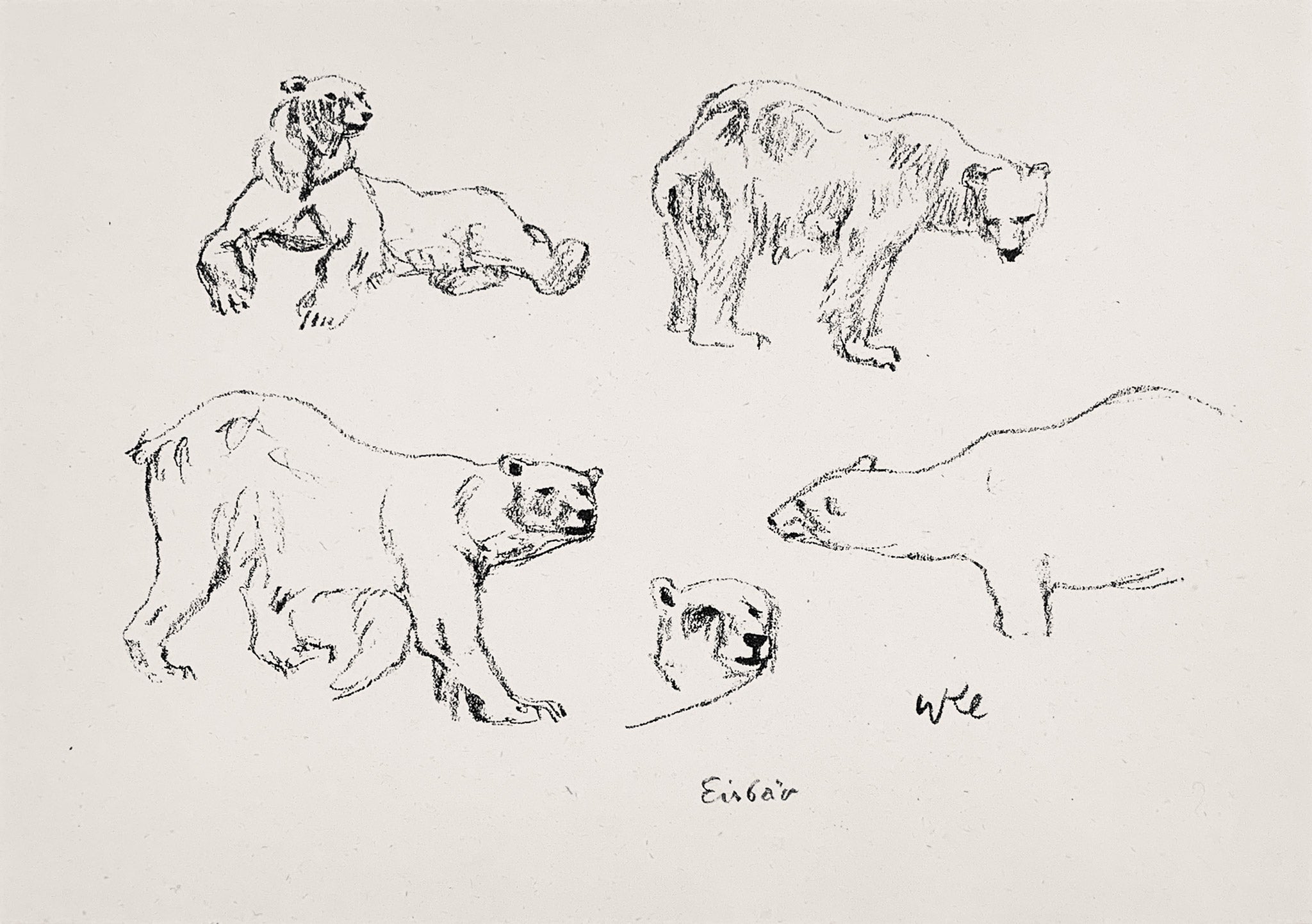 WALTHER KLEMM | Eisbär