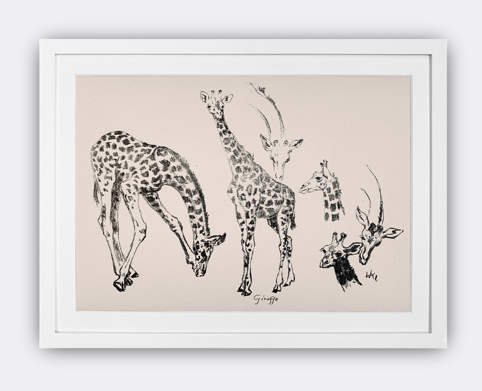 WALTHER KLEMM | Giraffe