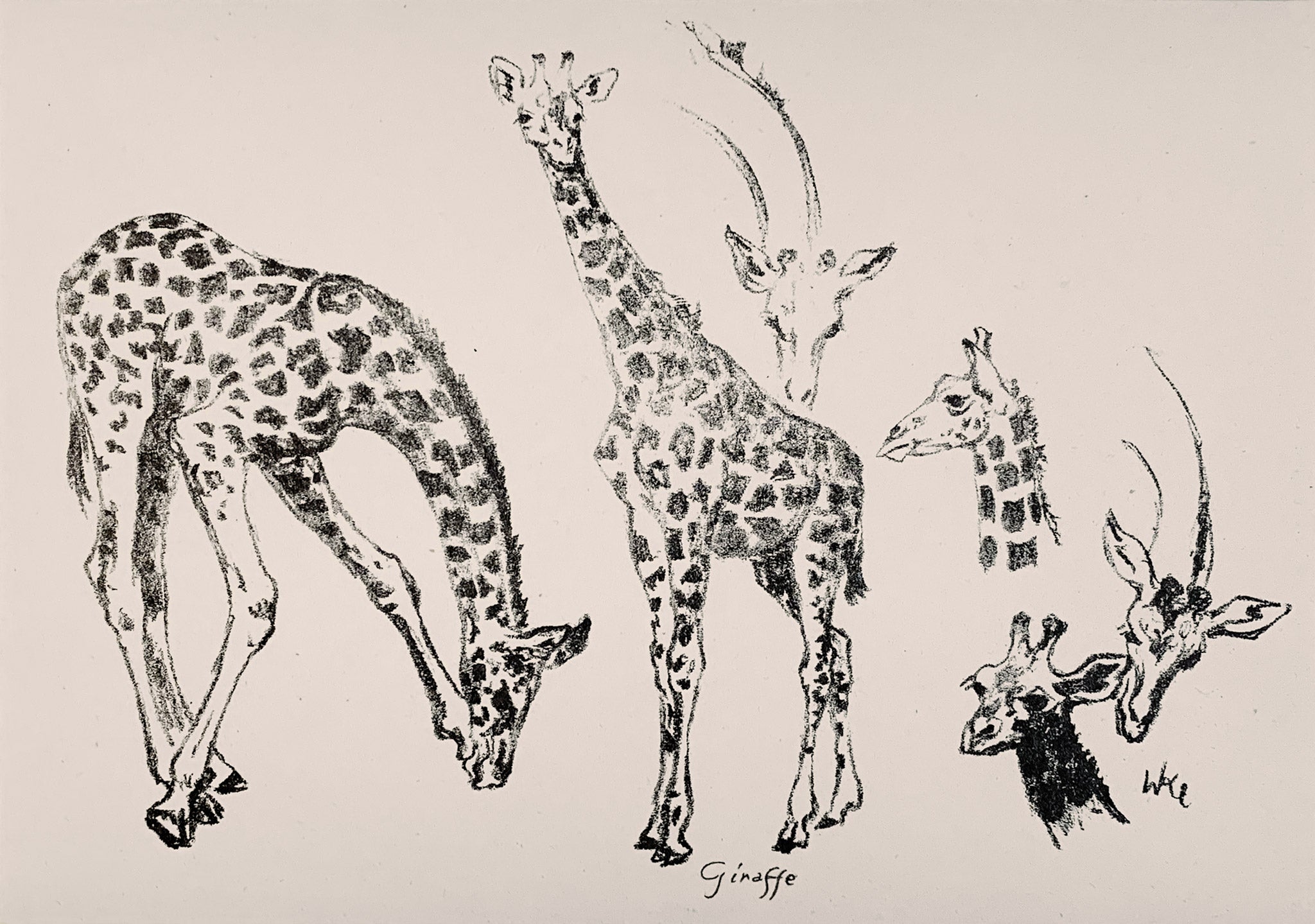 WALTHER KLEMM | Giraffe