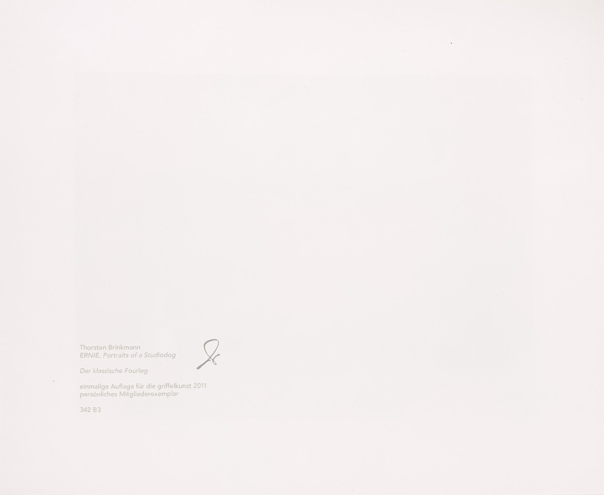 THORSTEN BRINKMANN | ERNIE, Portraits of a Studiodog "Der klassische Fourleg"