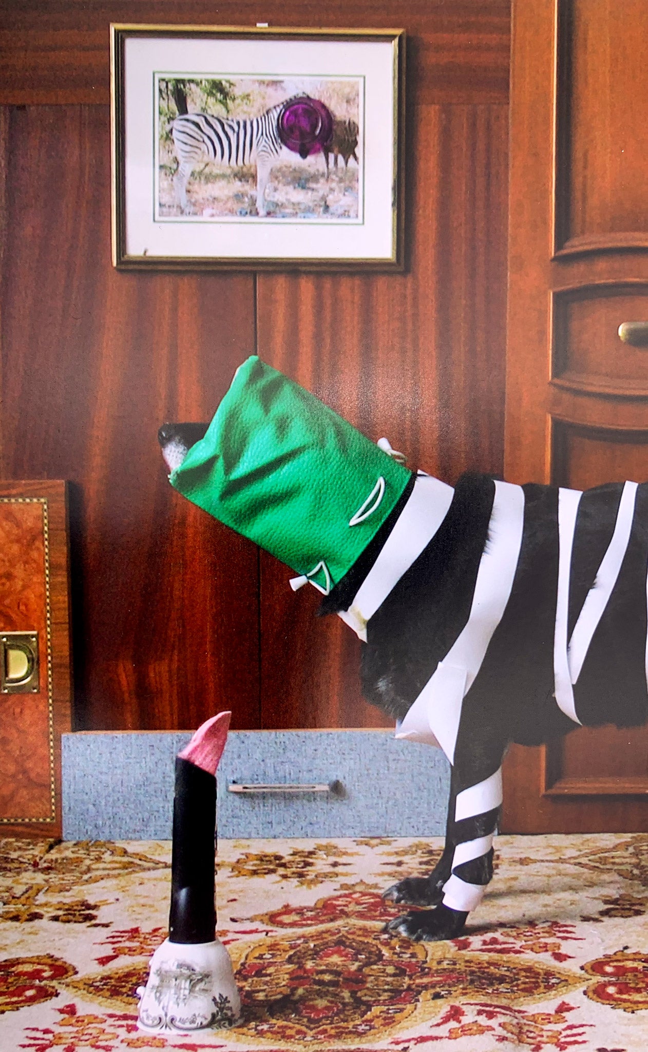 THORSTEN BRINKMANN | ERNIE, Portraits of a Studiodog "Das seltene Zebrund"