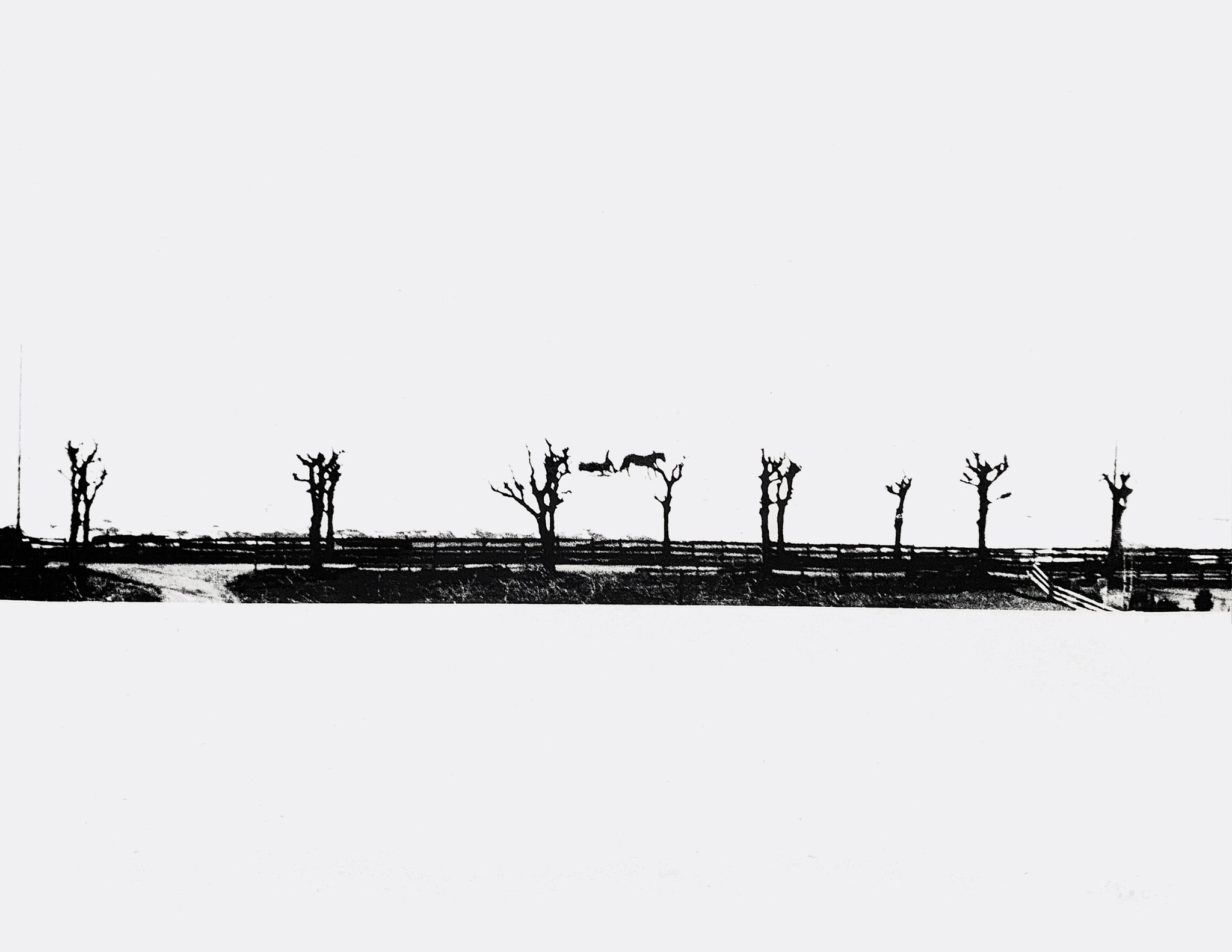 ANNE MAYR-FALKENBERG | Landschaft