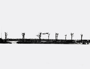 ANNE MAYR-FALKENBERG | Landschaft