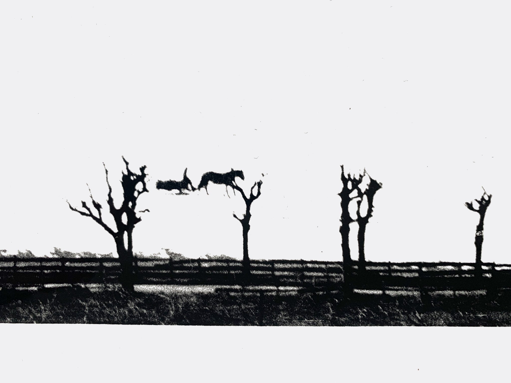ANNE MAYR-FALKENBERG | Landschaft