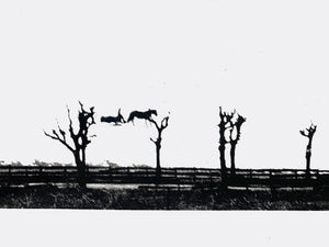 ANNE MAYR-FALKENBERG | Landschaft