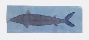 LAMBERT MARIA WINTERSBERGER | Wal·fisch