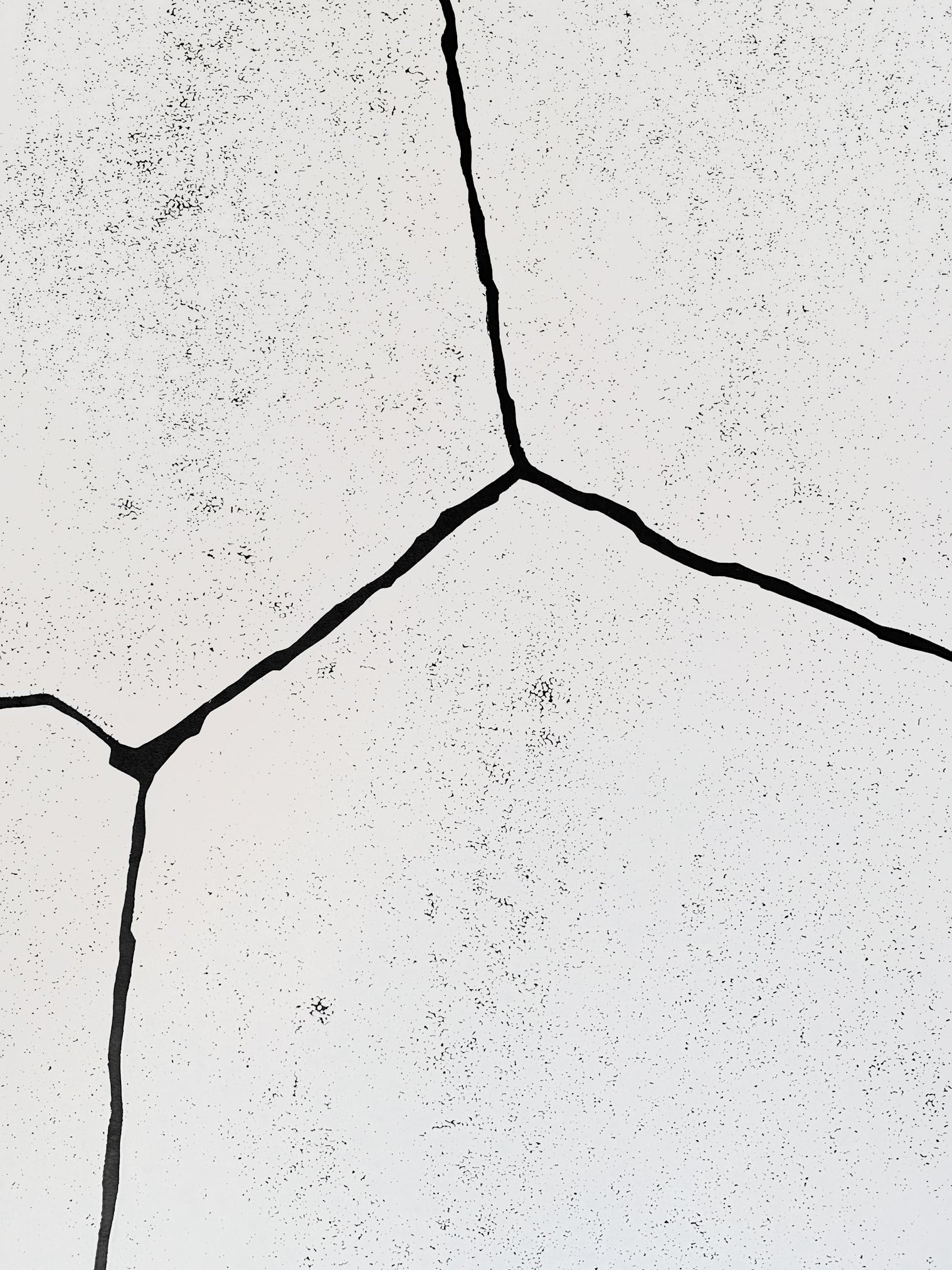 MARTIN NOËL | New York Lines