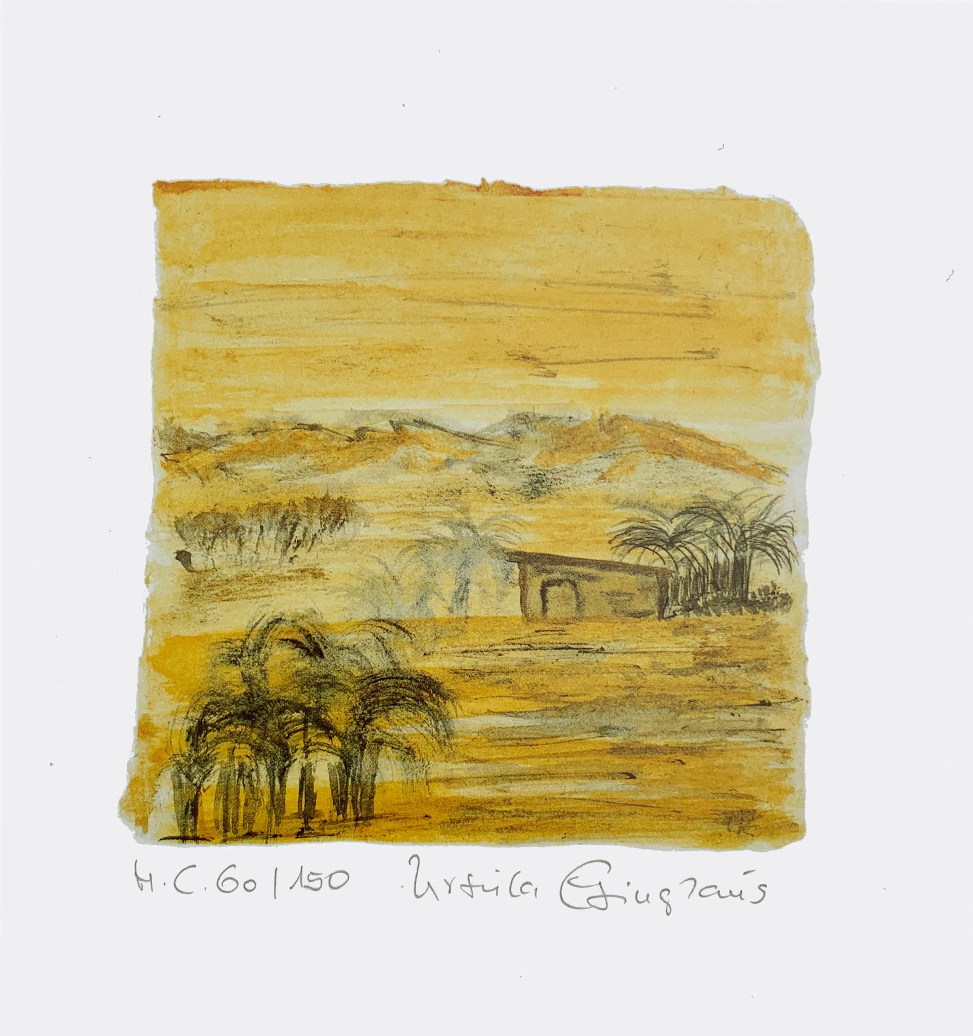 URSULA EBINGHAUS | Yellow