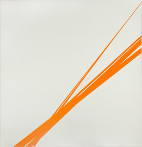 VOLKER LEONHARDT | Futuristic Landscape | Complete Series